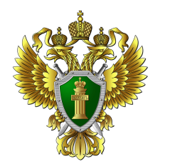 Об ответственности за нарушение порядка использовании Государственного флага Российской Федерации