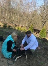 10 апреля 2023 года специалистами государственной ветеринарной службы Брянского района была проведена вакцинация собак и кошек