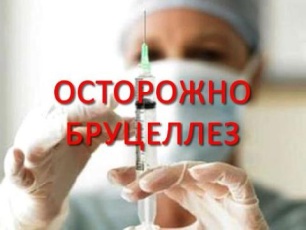 ПАМЯТКА для владельцев животных. ОПАСНО! Бруцеллёз!