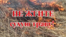 На территории Брянского района с начала года зарегистрировано 230 пожаров.